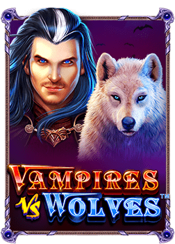 สัมผัสความสนุกกับ slotxo บน pc ที่ไม่เหมือนใคร